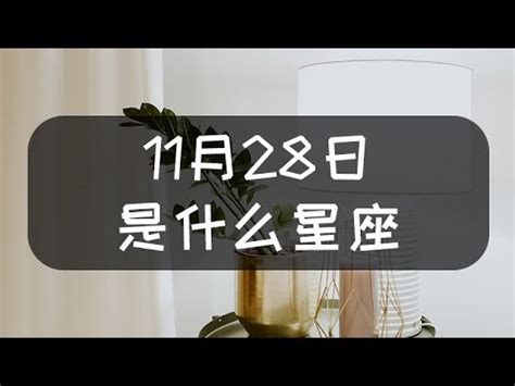 11月11號是什麼星座|【11月11日 星座】十一月星座運勢揭曉！11月11日你的星座是什。